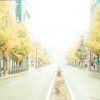 福岡 道路の風景 新着情報デフォルトアイキャッチ画像02